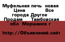 Муфельная печь (новая)  › Цена ­ 58 300 - Все города Другое » Продам   . Тамбовская обл.,Моршанск г.